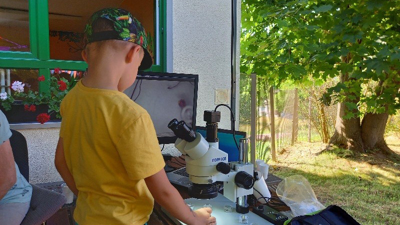 Türen auf mit der Maus